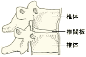 手足のしびれ 気になるからだの危険信号 生活習慣病を予防する 特定非営利活動法人 日本成人病予防協会