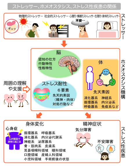 ストレス状態の兆候 - 生活習慣病を予防する 特定非営利活動法人 日本成人病予防協会